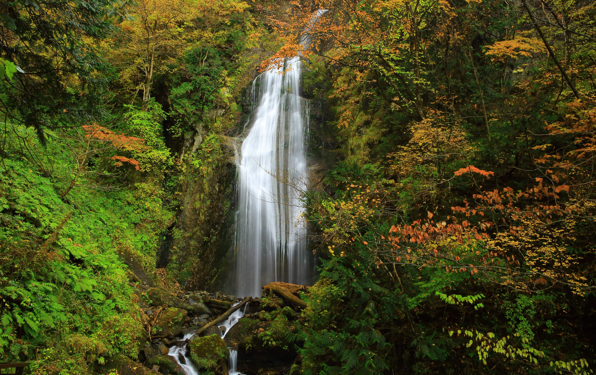 Dakigaeri Gorge-AUT