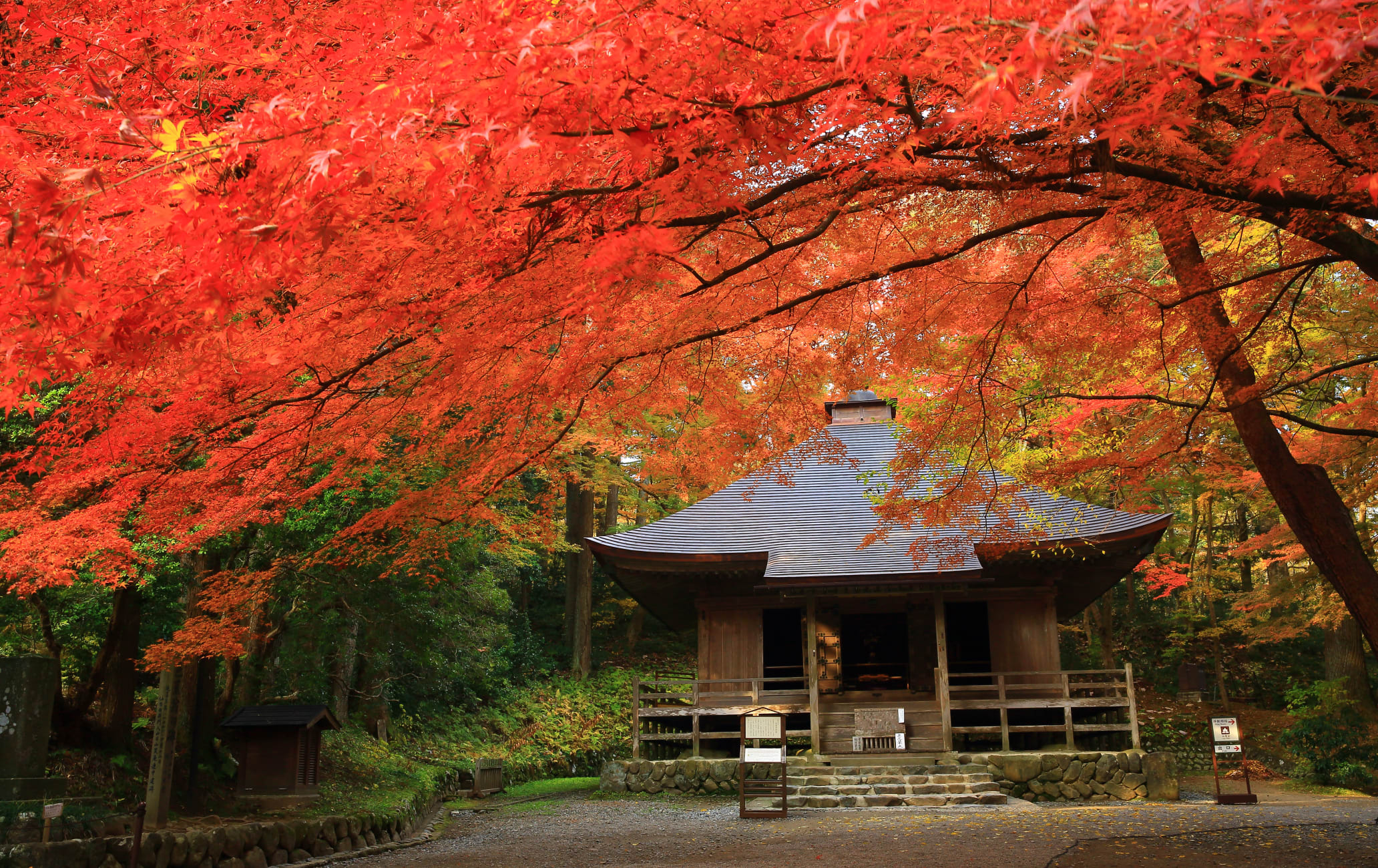 Chuson-ji Temple-AUT