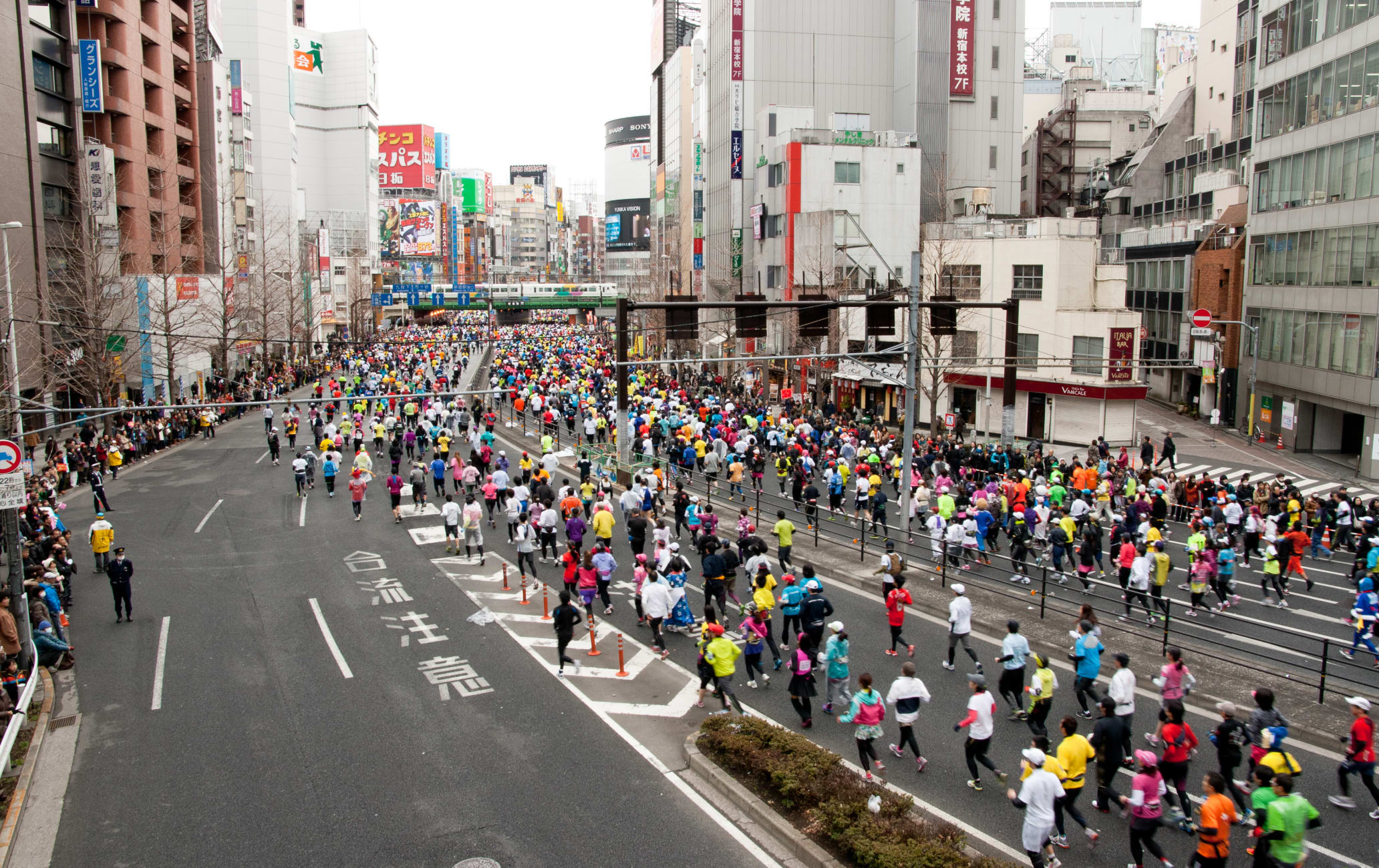 marathon tours and travel tokyo