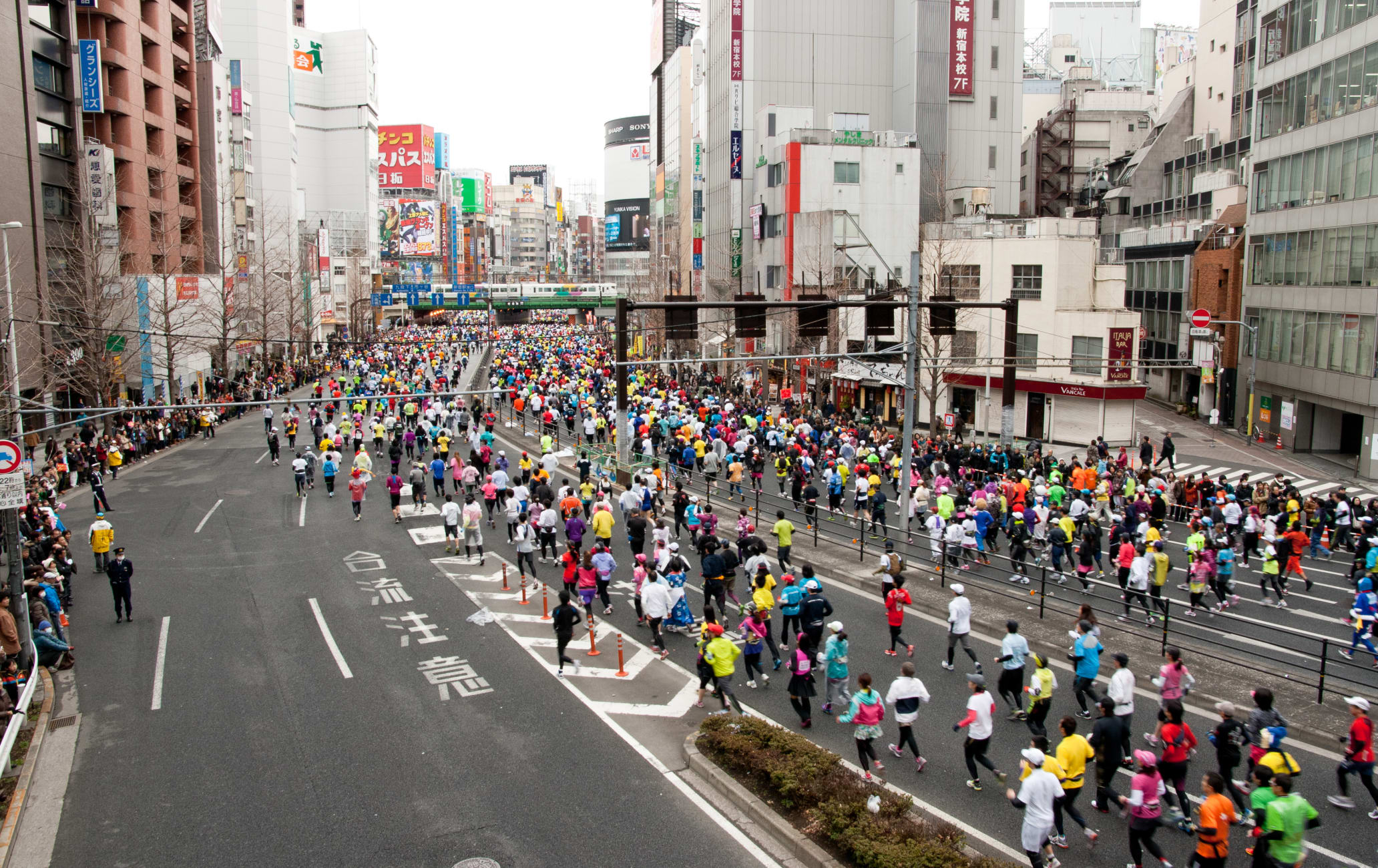 Tokyo Marathon | Tokyo Attractions | Travel Japan | JNTO