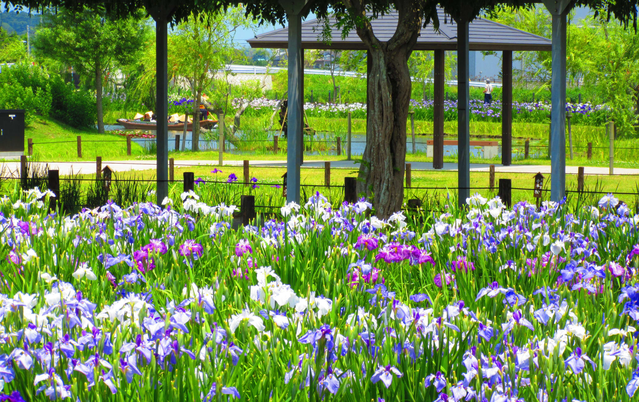 Suigo Sawara Aquatic Botanical Garden