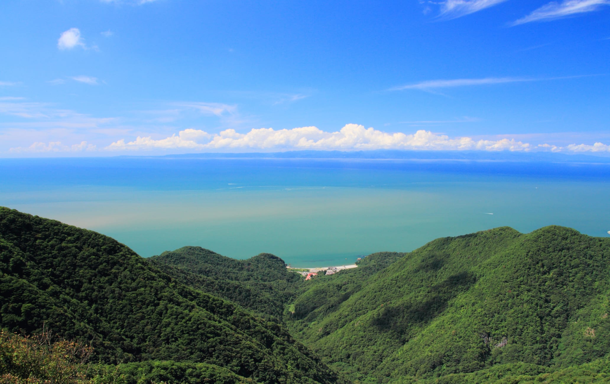 Mt. Yahiko Area