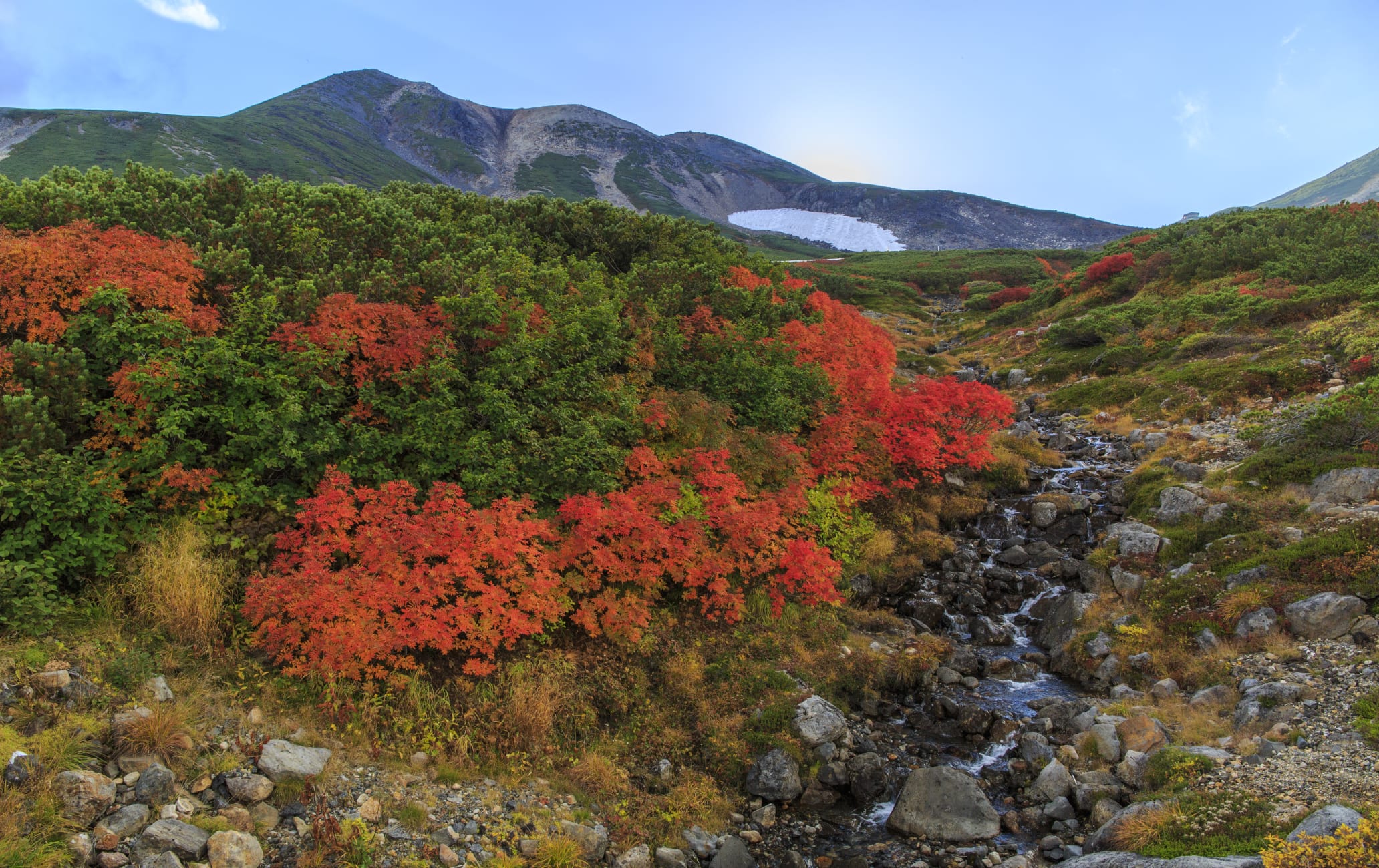 Norikura Area