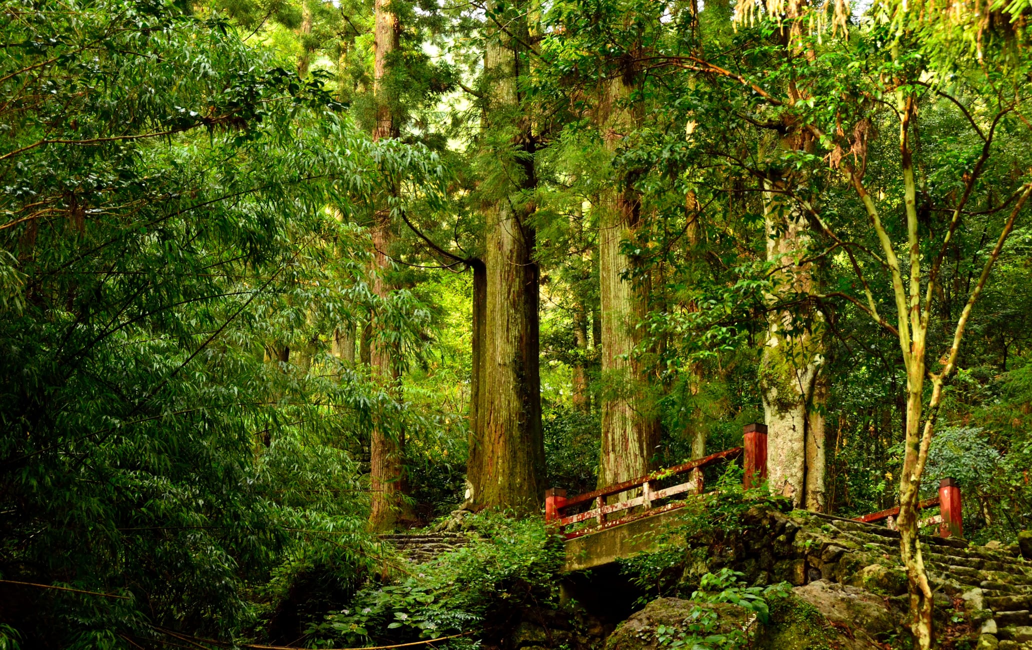 Horai-ji Temple