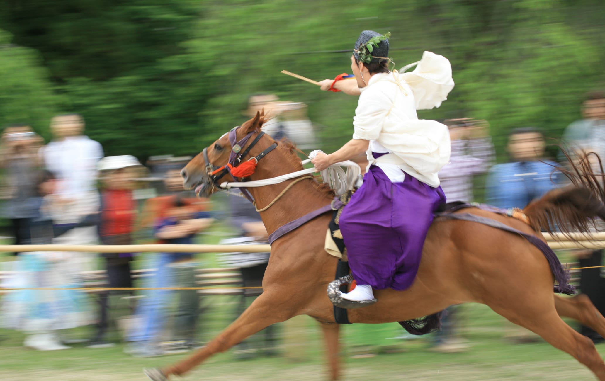 Aoi Matsuri