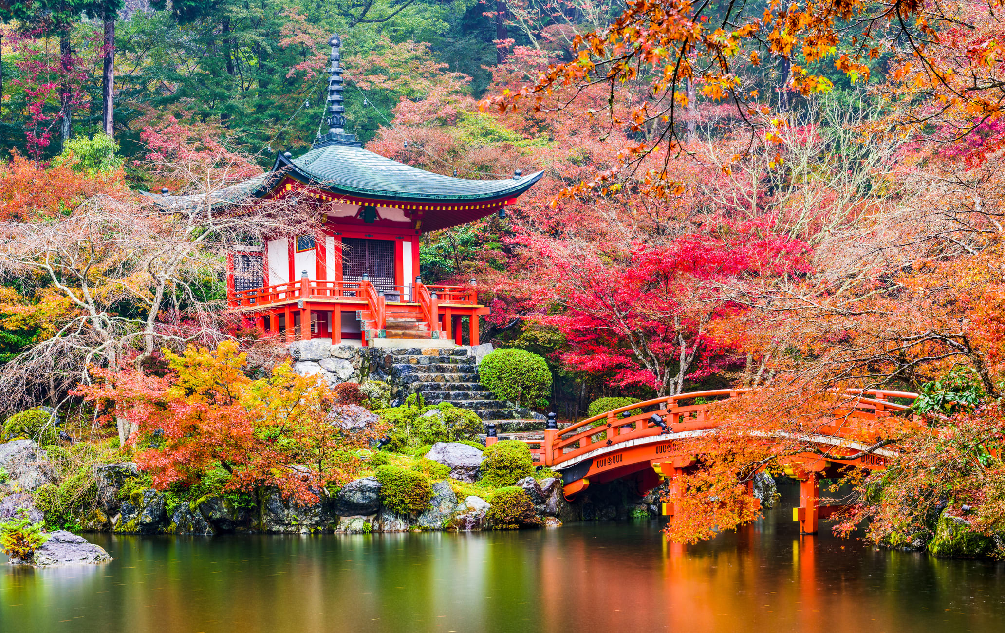 tourist visiting japan