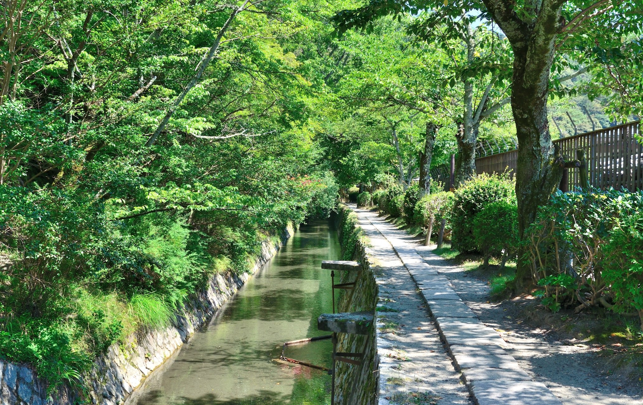 central kyoto