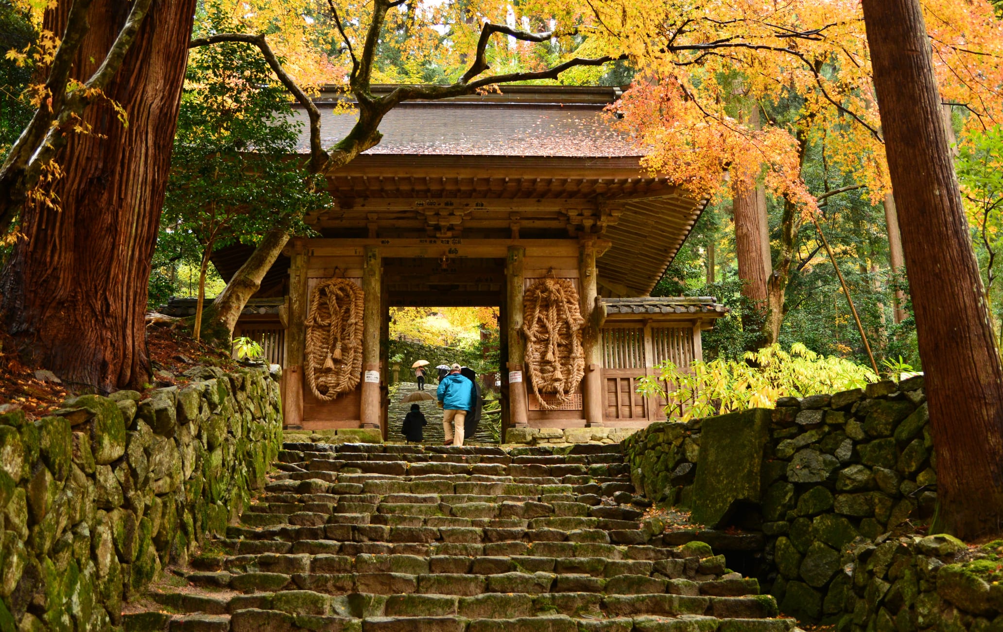 Fall Foliage of Hyakusai-ji