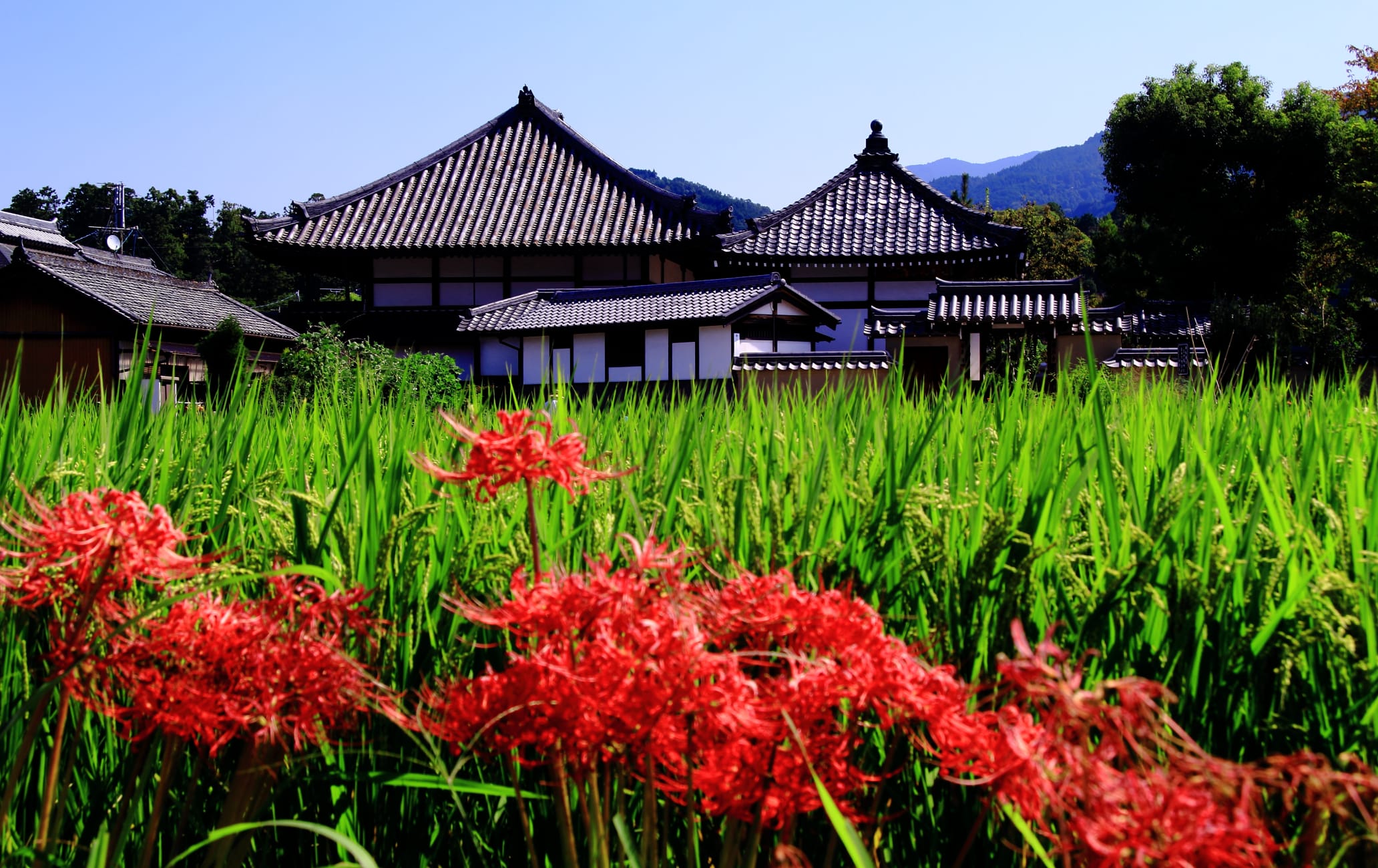 Asuka-dera Temple