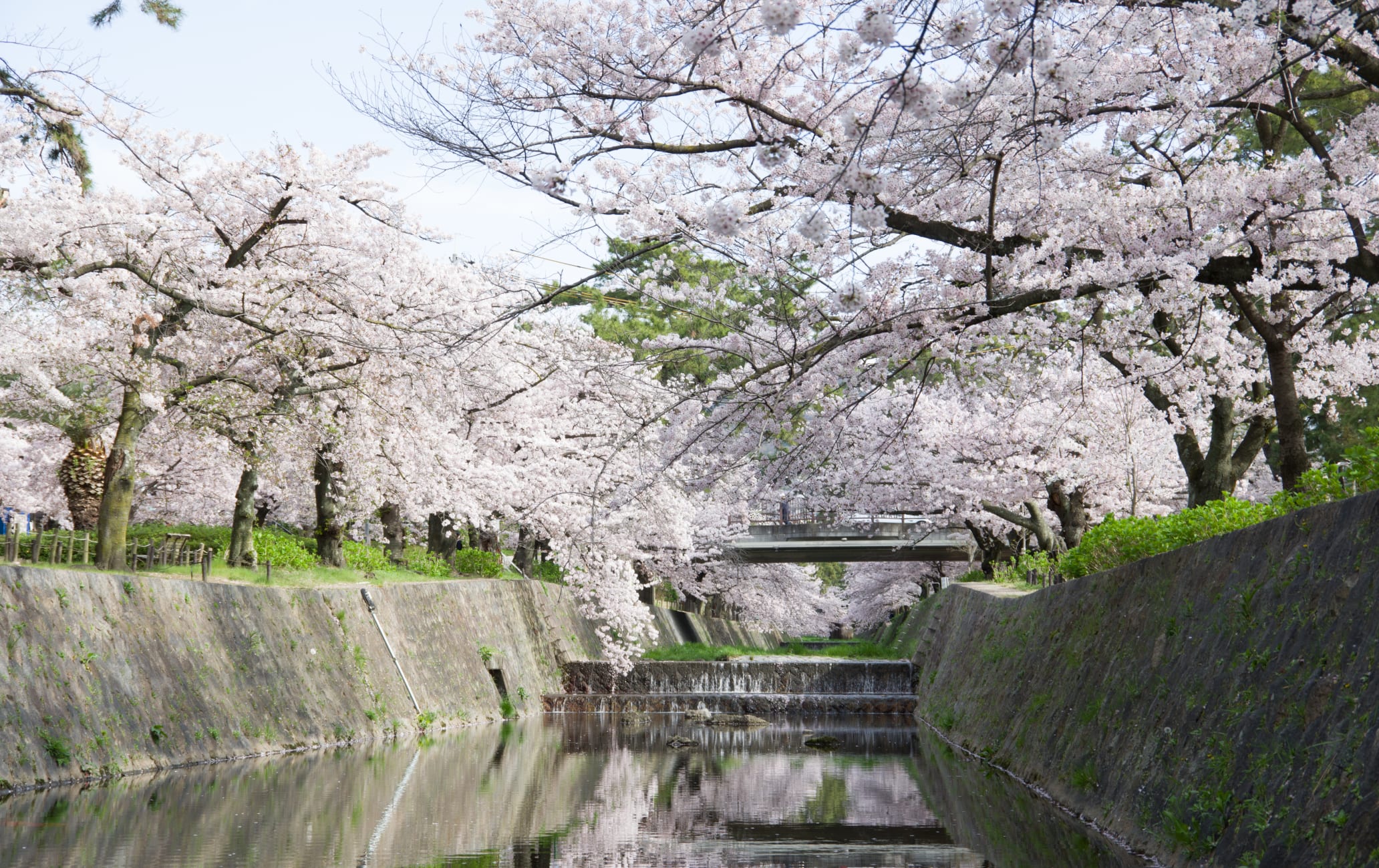 shukugawa park