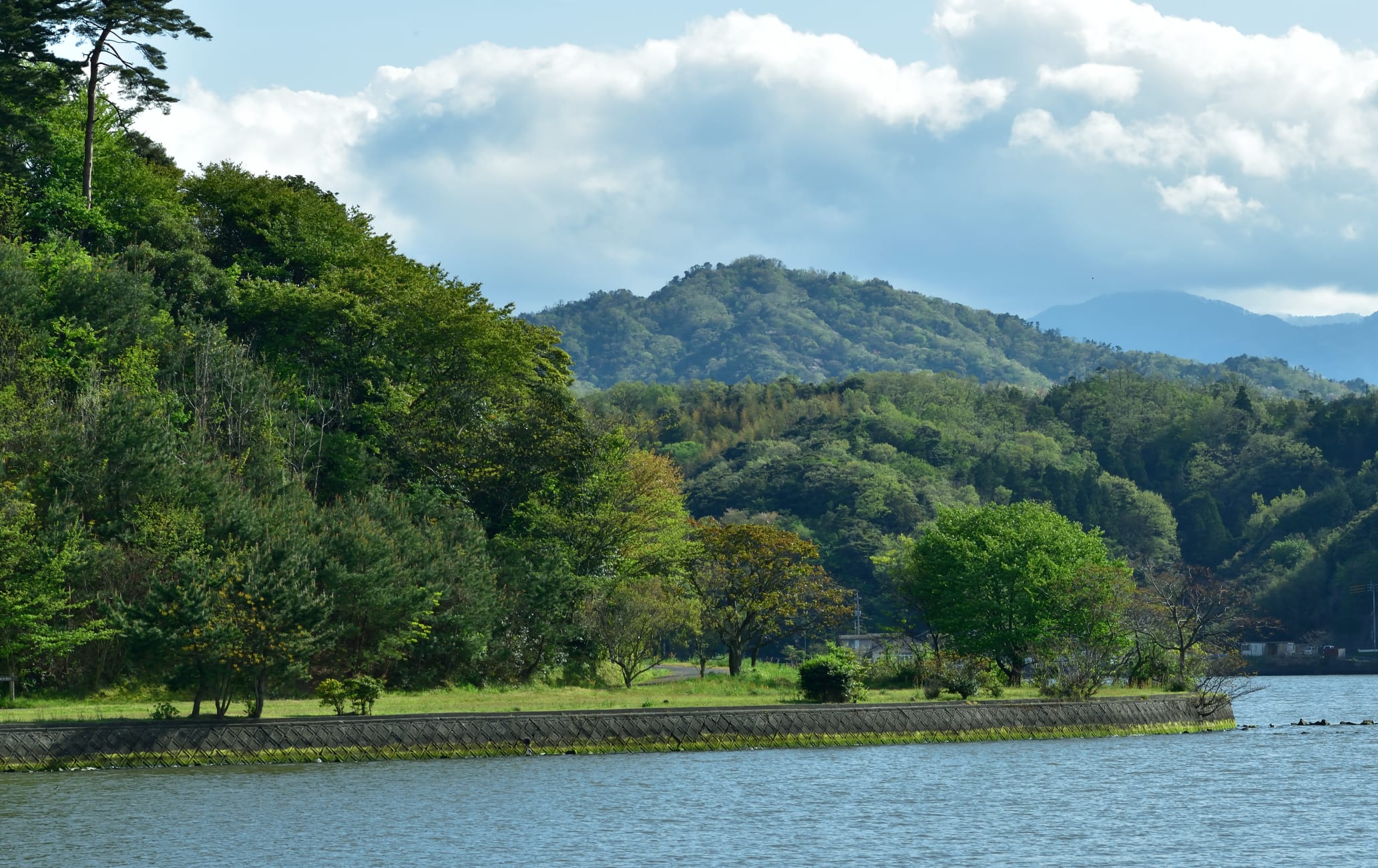 Koyama Pond