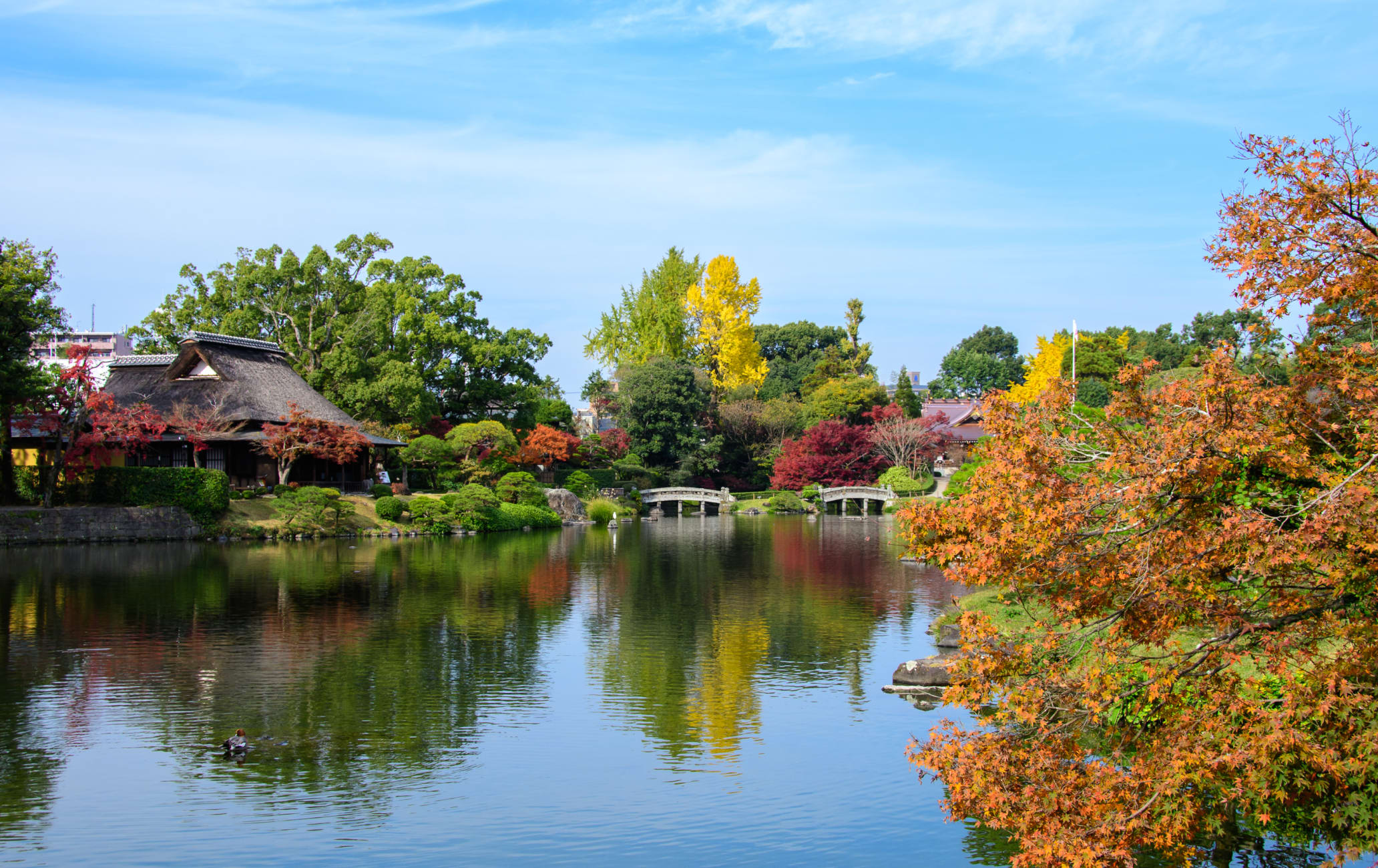 Suizen-ji Joju-en Garden