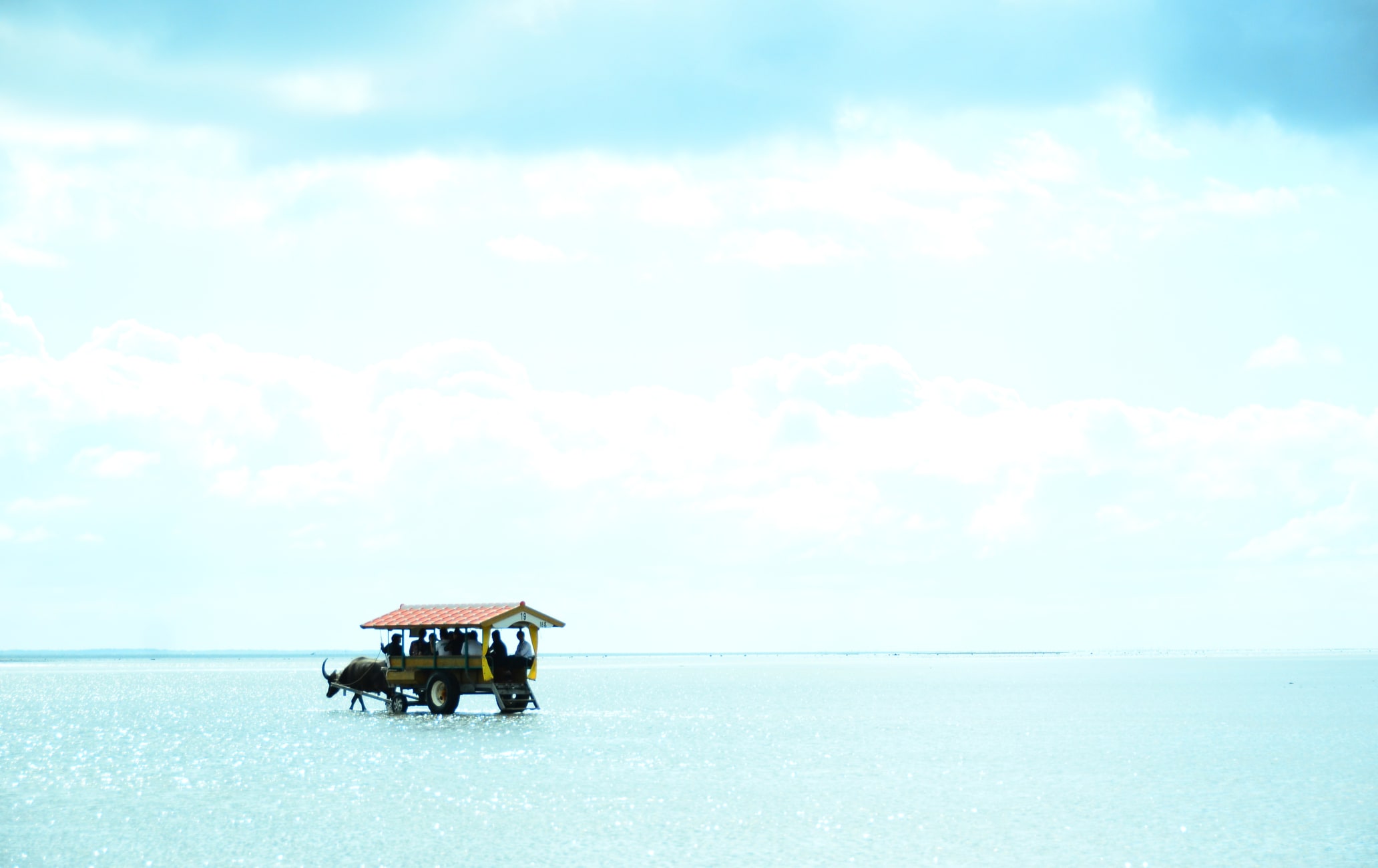 Yubu Island on a cow carts