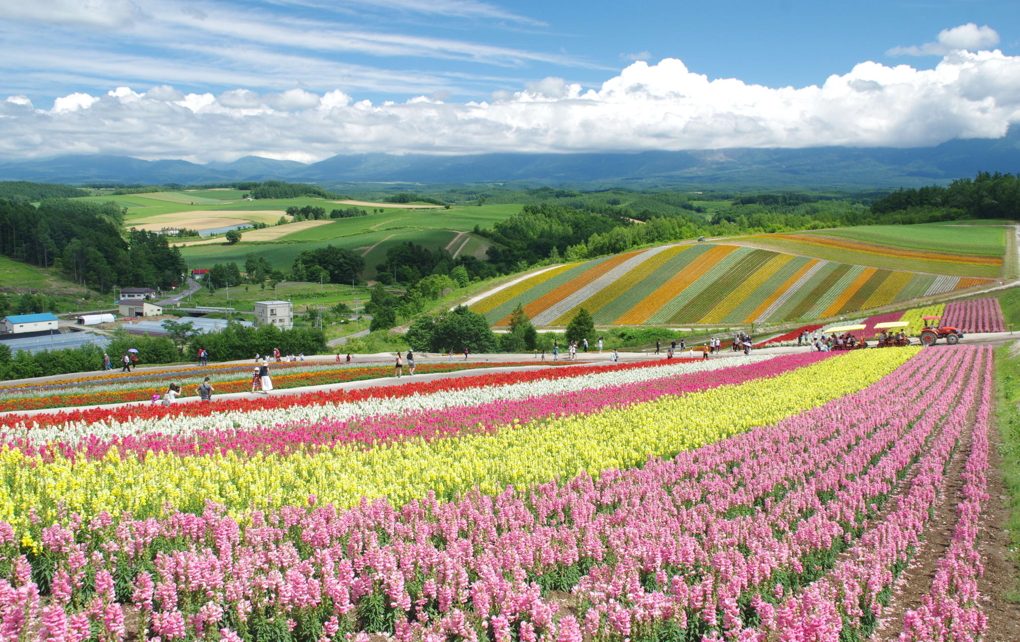 Shikisai No Oka Travel Japan Japan National Tourism Organization 