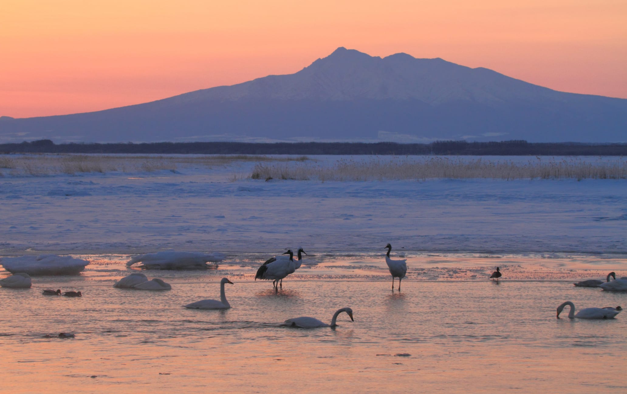 Lake Tofutsu