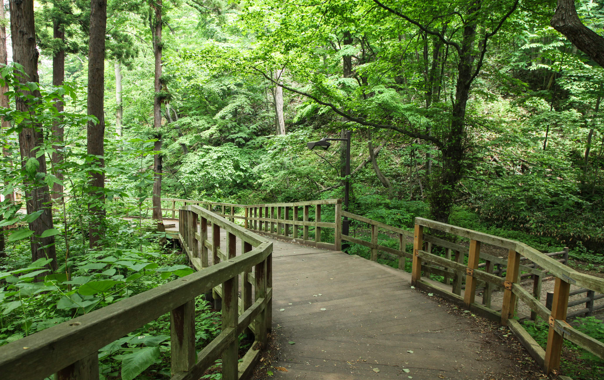 Maruyama-koen Park