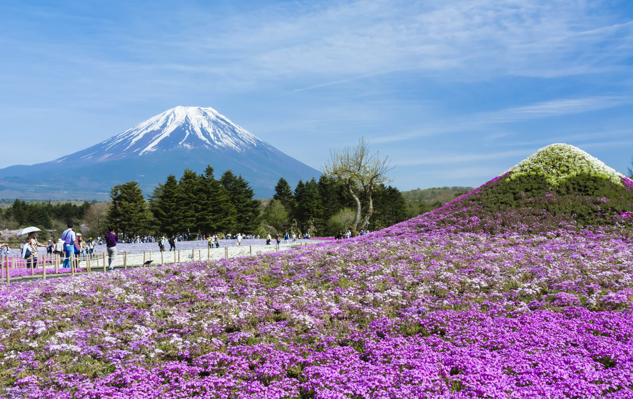 fuji five lakes