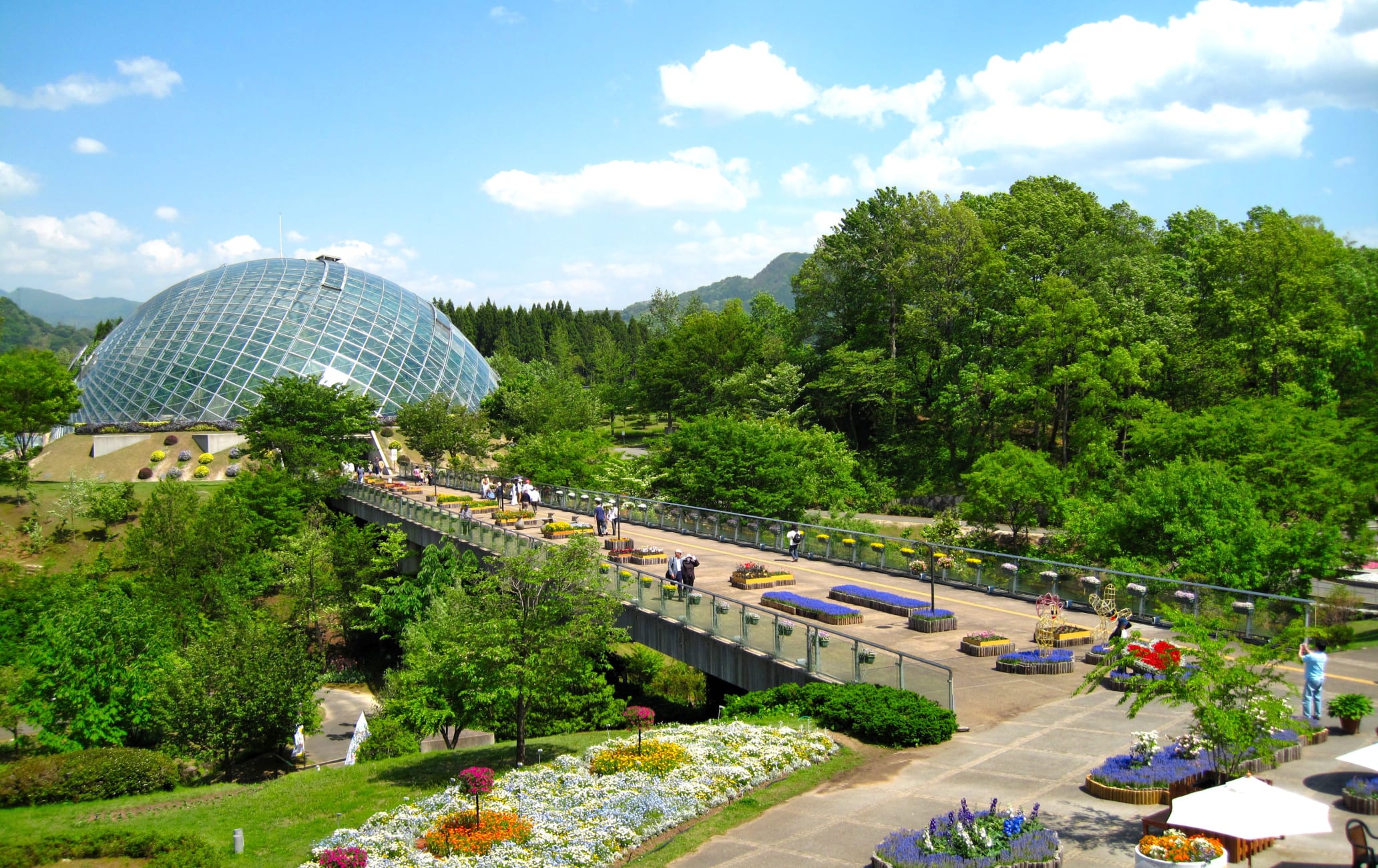 Tottori Hanakairo Flower Park