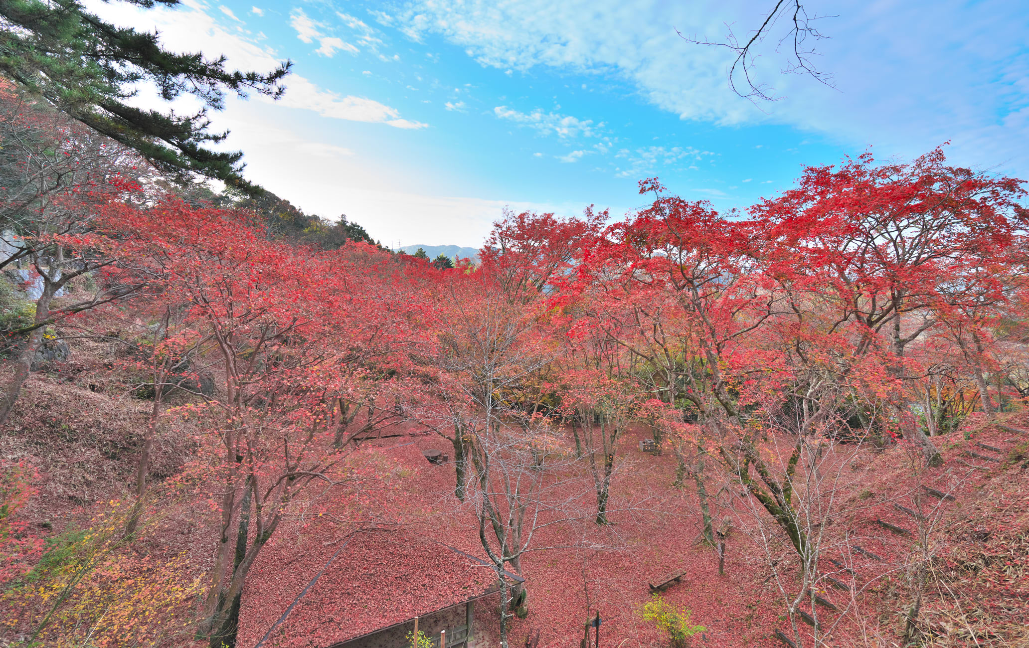 Kasagiyama Natural Park