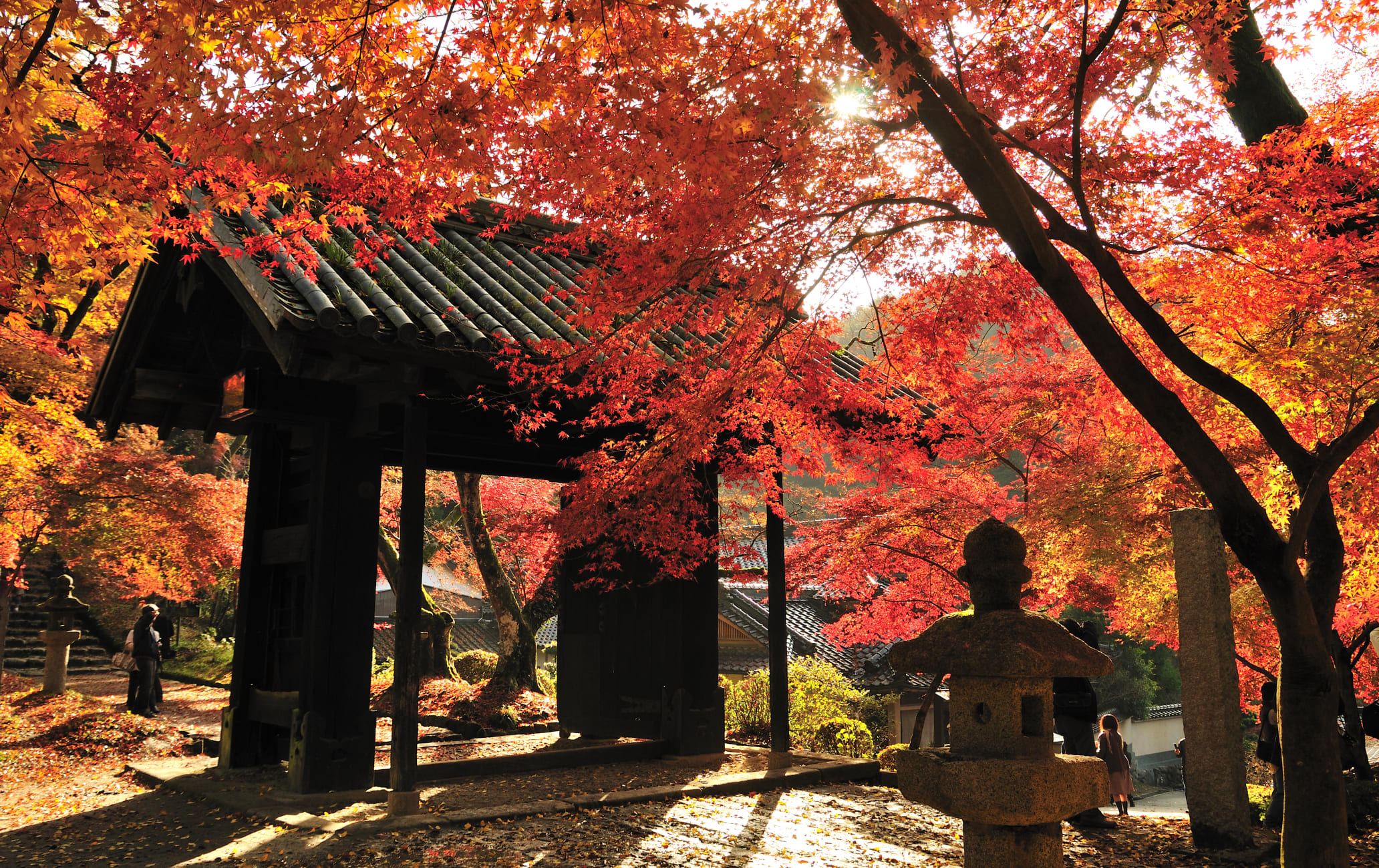 Akizuki Castle