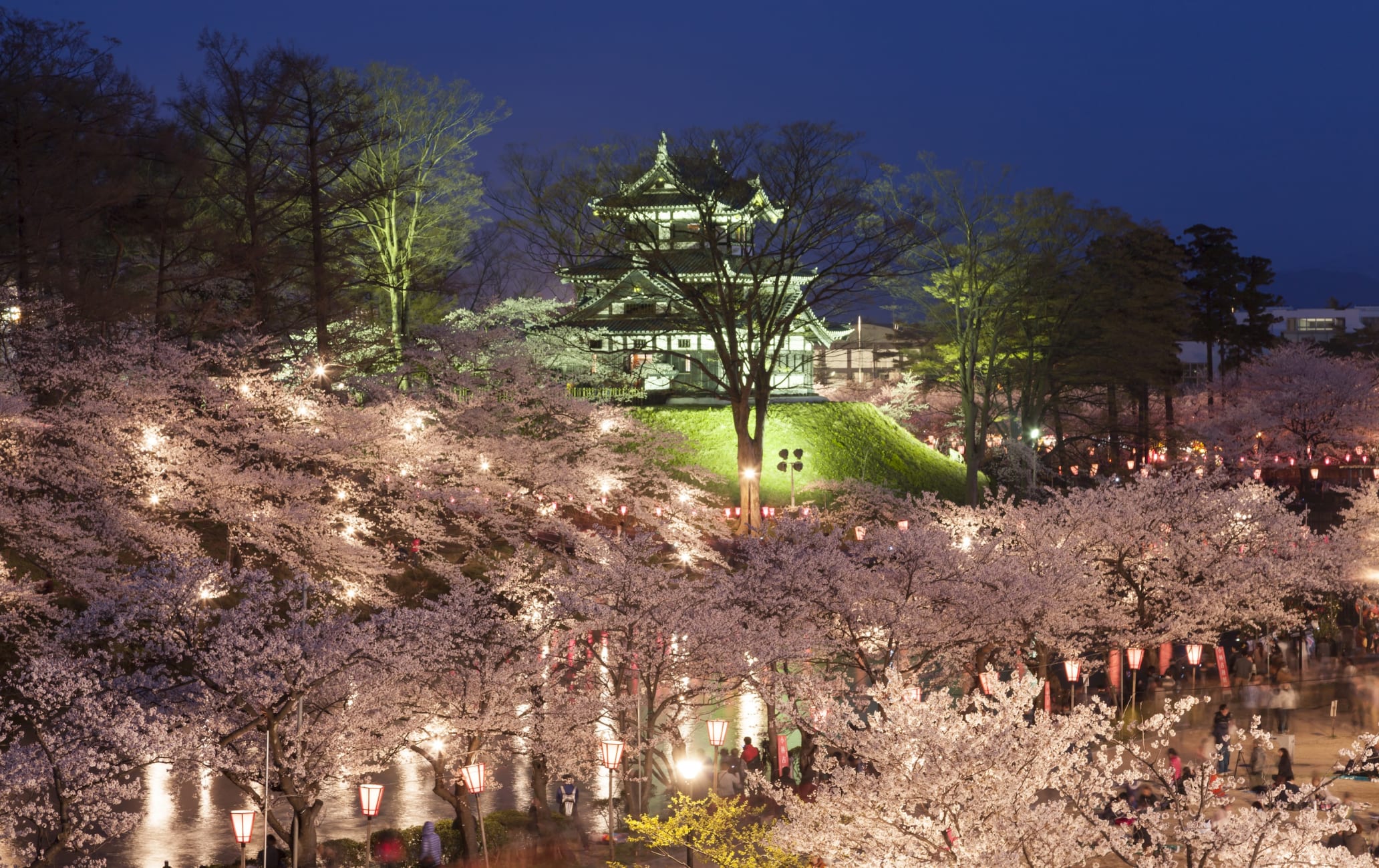 Takada Cherry Blossom Festival