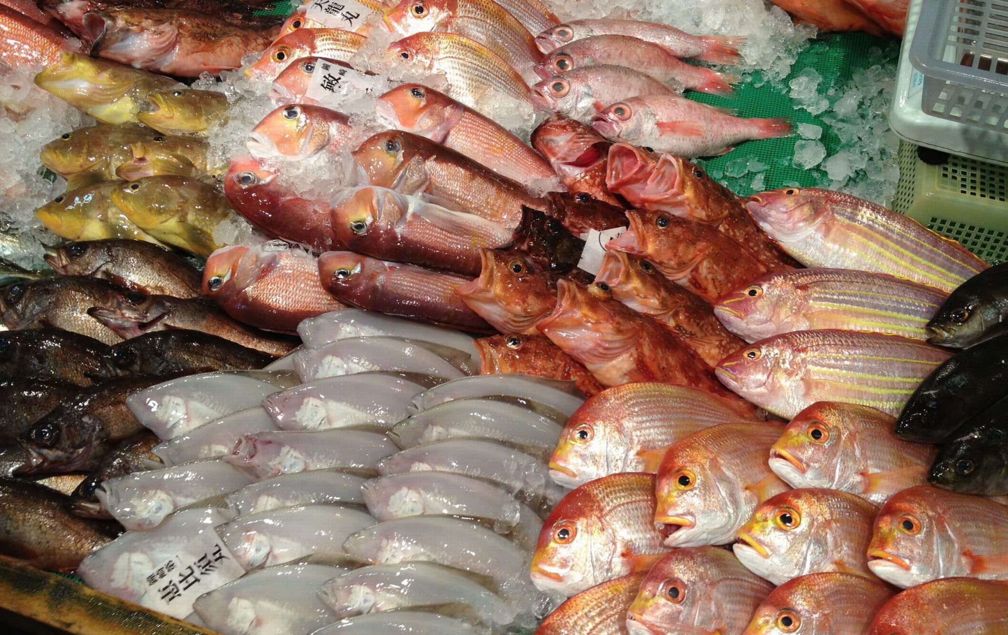 Nagahama Fish Market