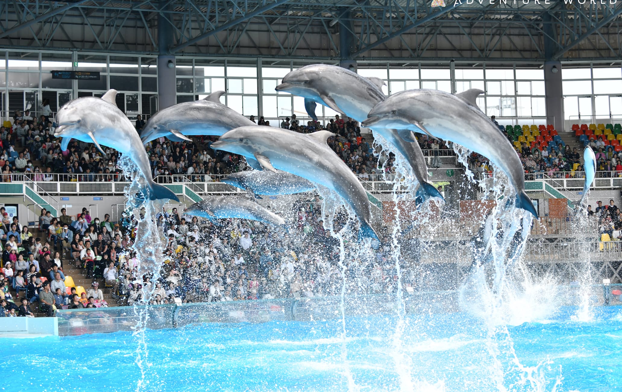 Wakayama Adventure World