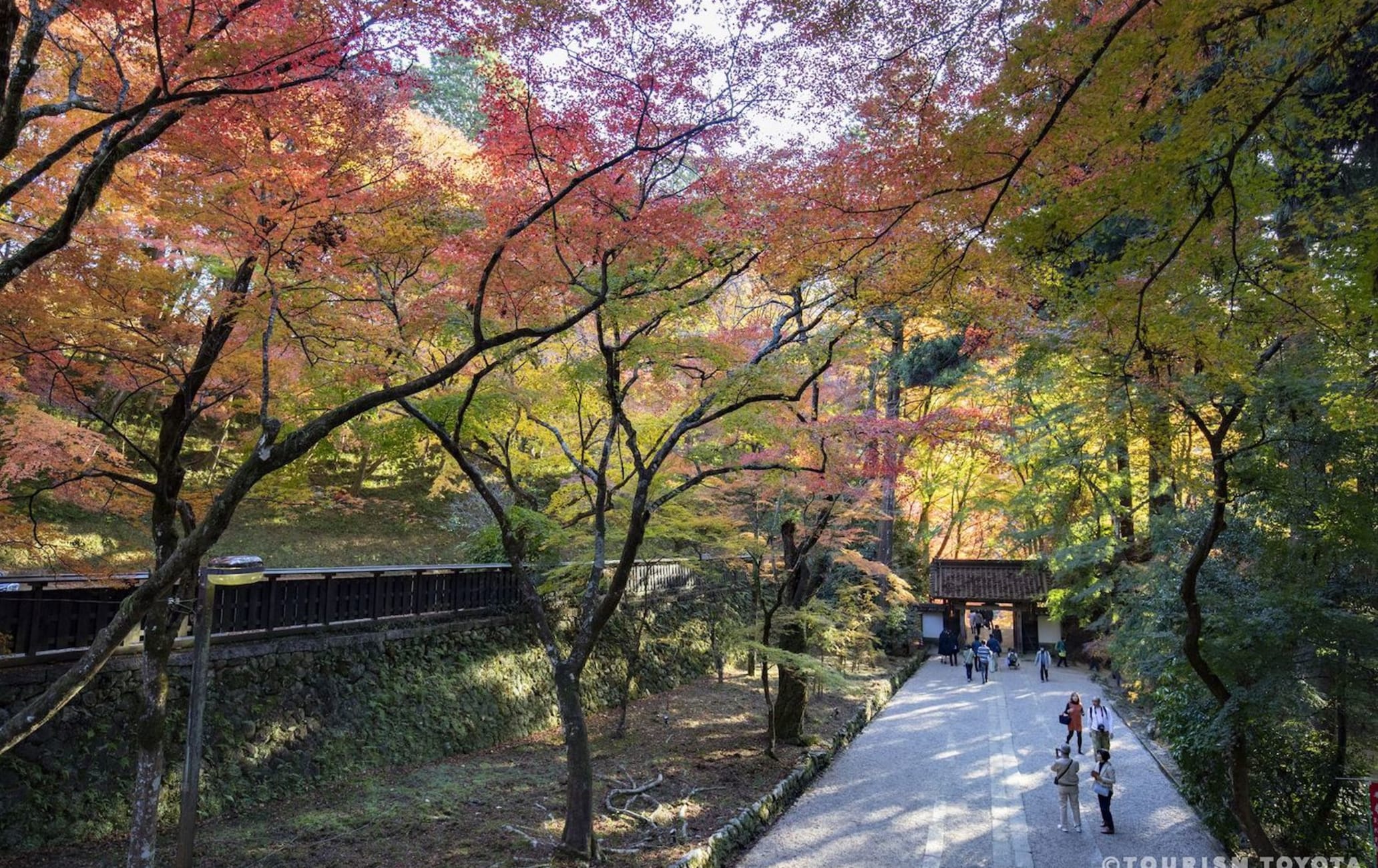 Korankei Valley Autumn Leaves