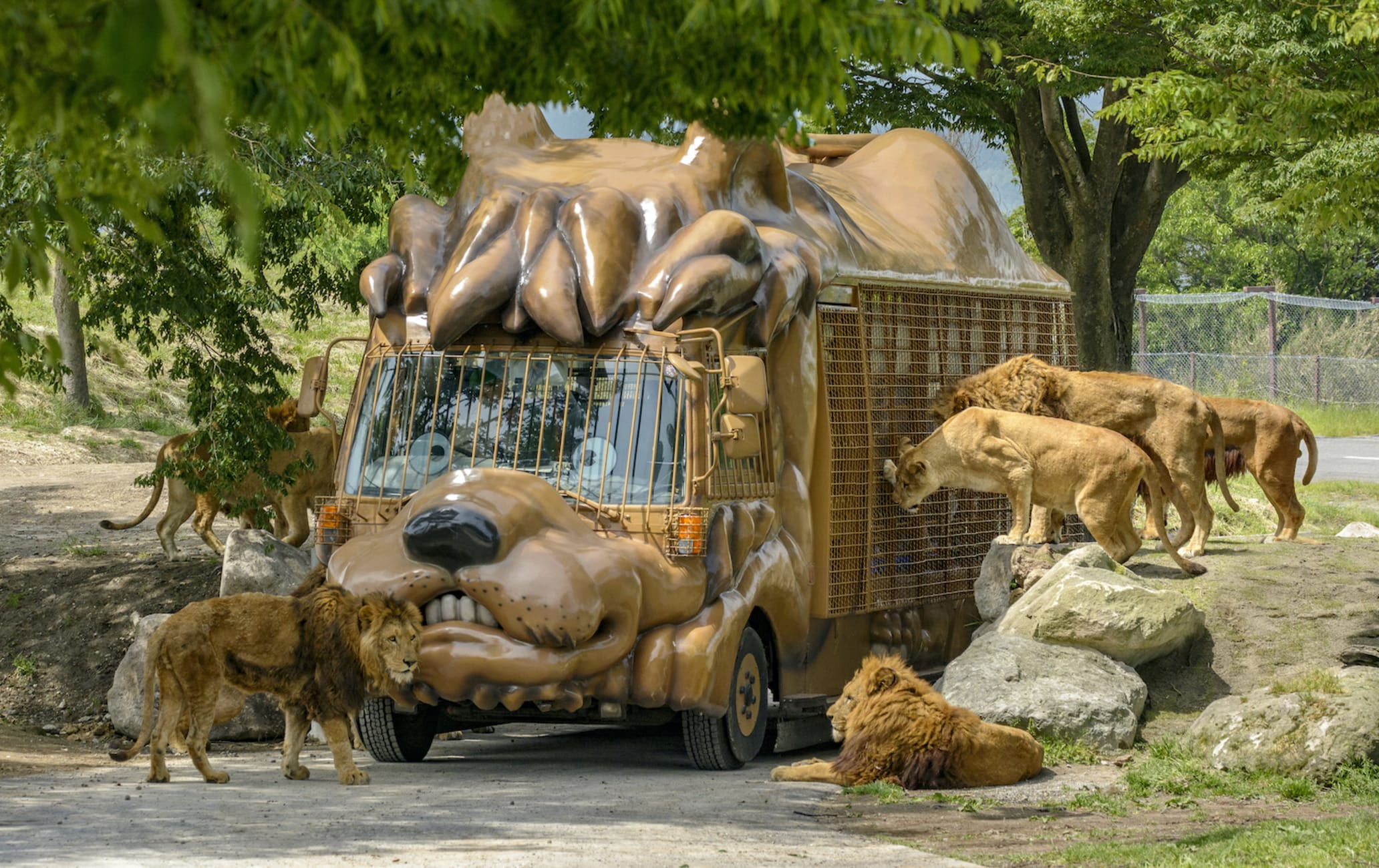 kyushu african safari tickets