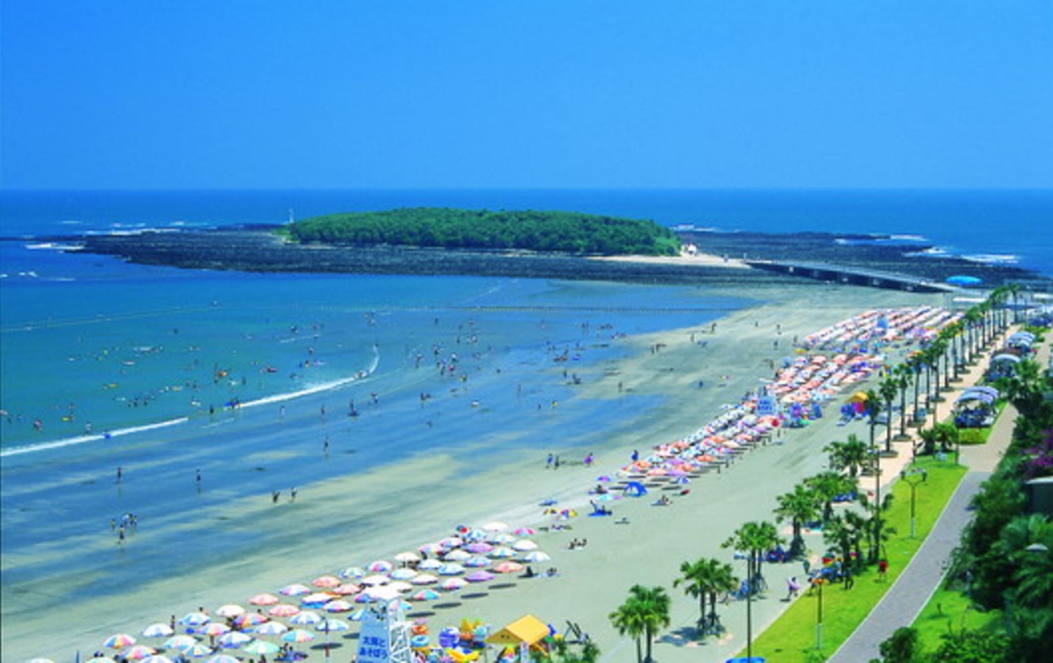 Aoshima Beach Park  Travel Japan - Japan National Tourism Organization  (Official Site)