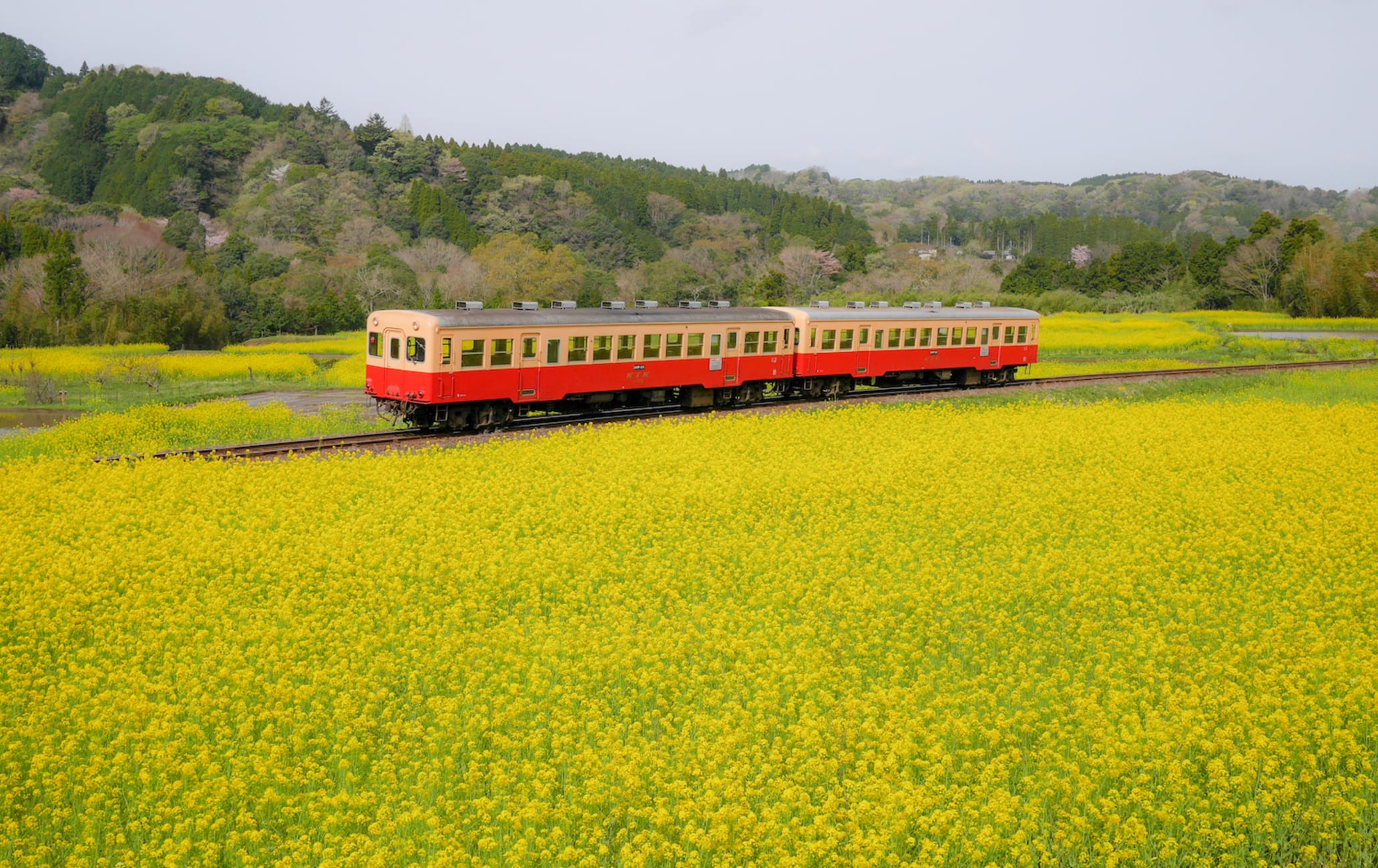 Kominato Railway