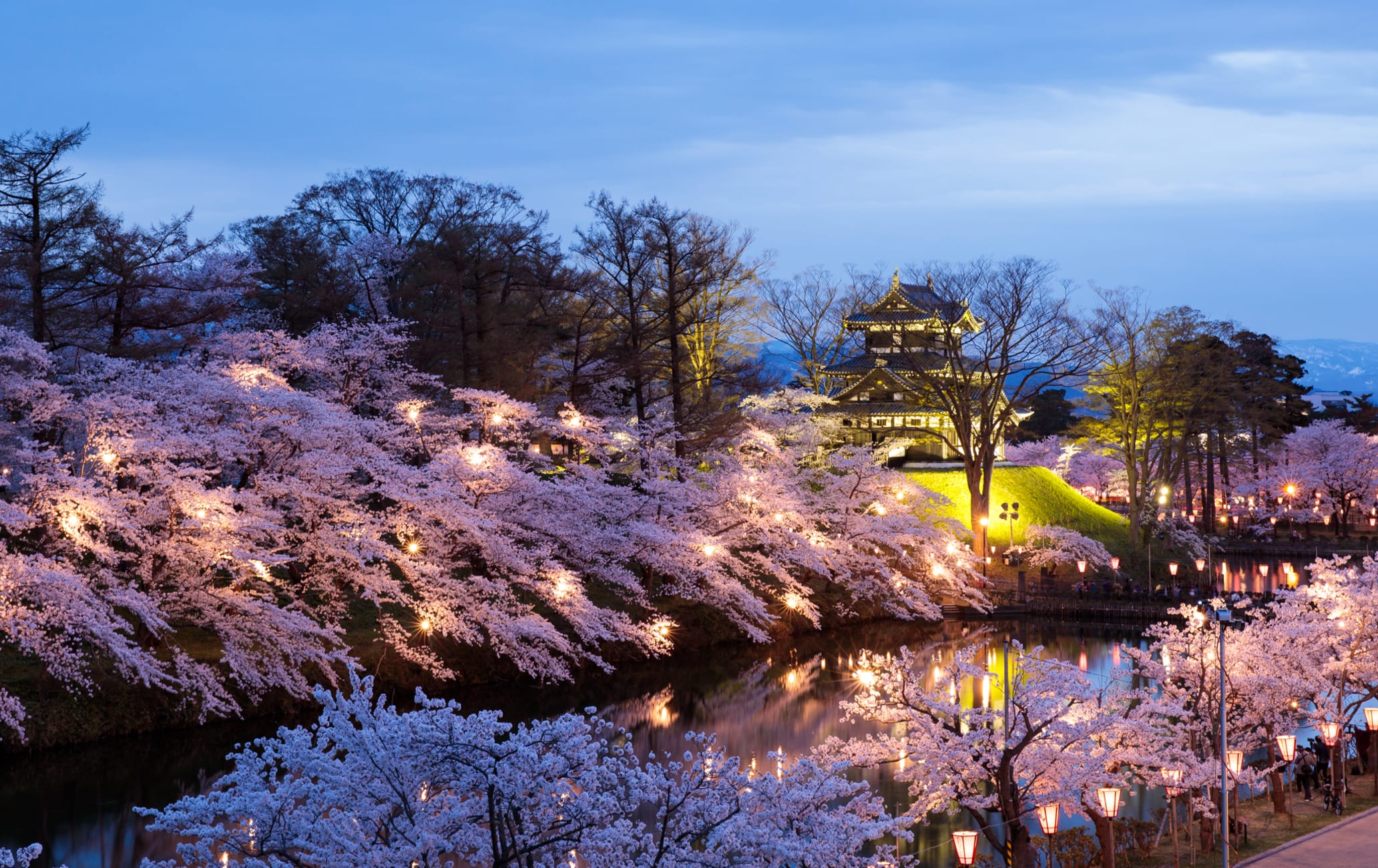 Takada Cherry Blossom Festival  Travel Japan - Japan National