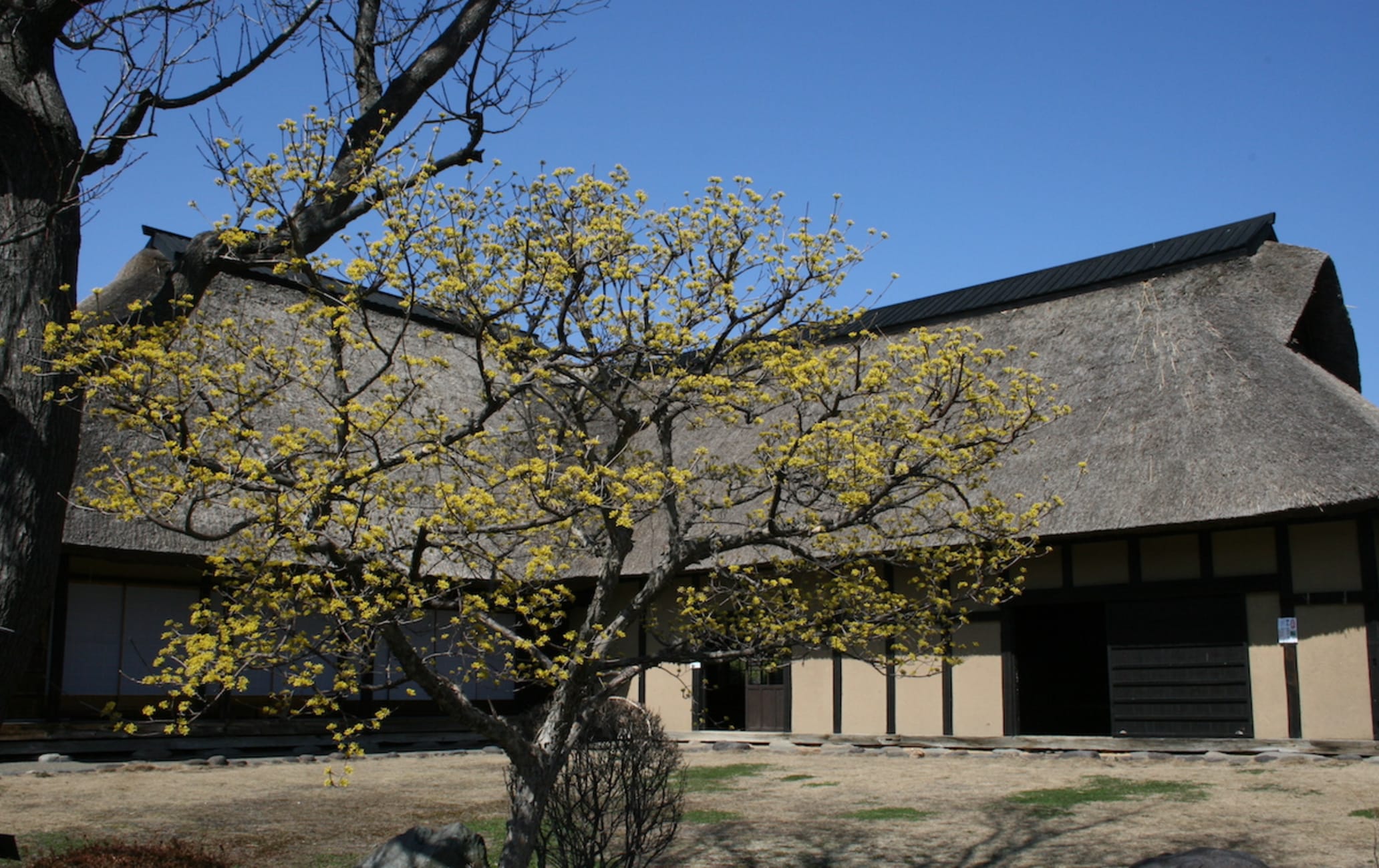 Morioka Handi-Works Square