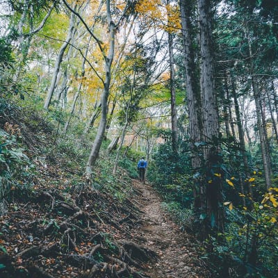 nature trail tokyo day trip