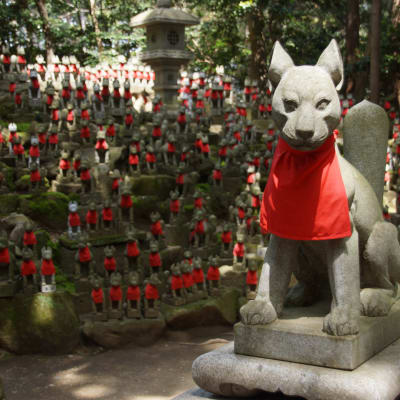Chùa Toyokawa Inari (còn gọi là Myogonji)