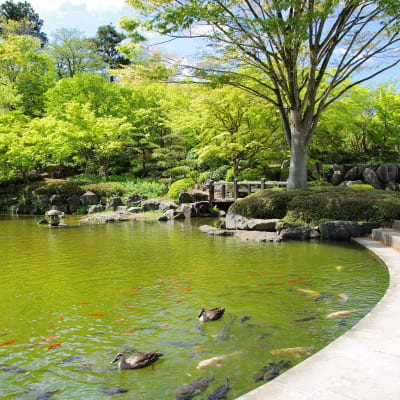 Parque de Sakurayama