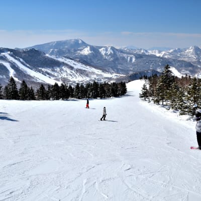 Domaine skiable de Shiga Kogen