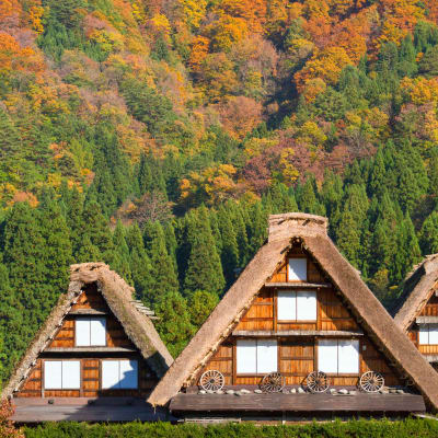 Nagoya, Takayama et Kanazawa