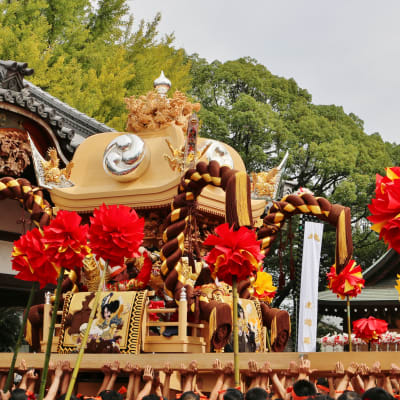 Festival de la Lucha de Nada (Nada Kenka Matsuri)