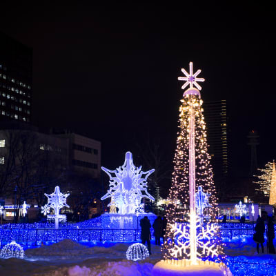 Lễ hội Ánh sáng Sapporo White Illumination