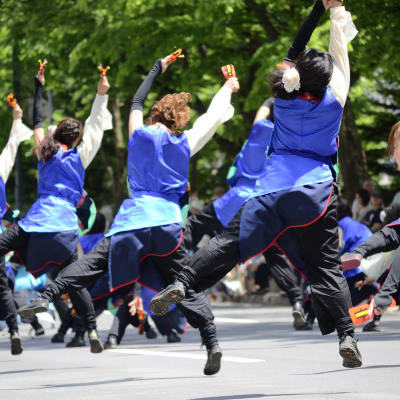 Festival de Yosakoi Soran