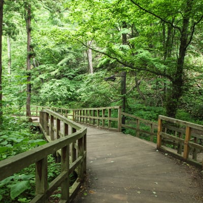 Parque de Maruyama (Hokkaido)