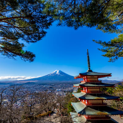 Arakurayama Sengen Park