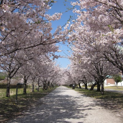 Công viên Kagamino