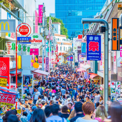 Harajuku & Omotesando