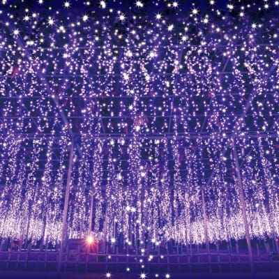 Illuminations de l'Ashikaga Flower Fantasy