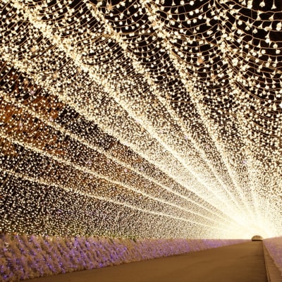 Winterillumination Nabana no Sato