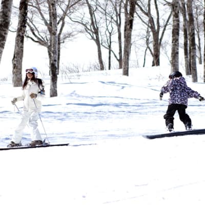 Un weekend invernale a Niigata