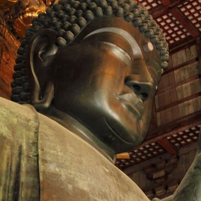 Il meglio del Patrimonio mondiale del Giappone