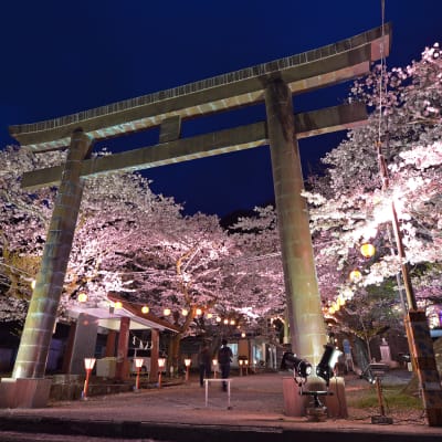 Festival de los Cerezos en Flor de Kinugawa Onsen